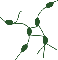 tabs-image