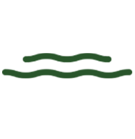tabs-image